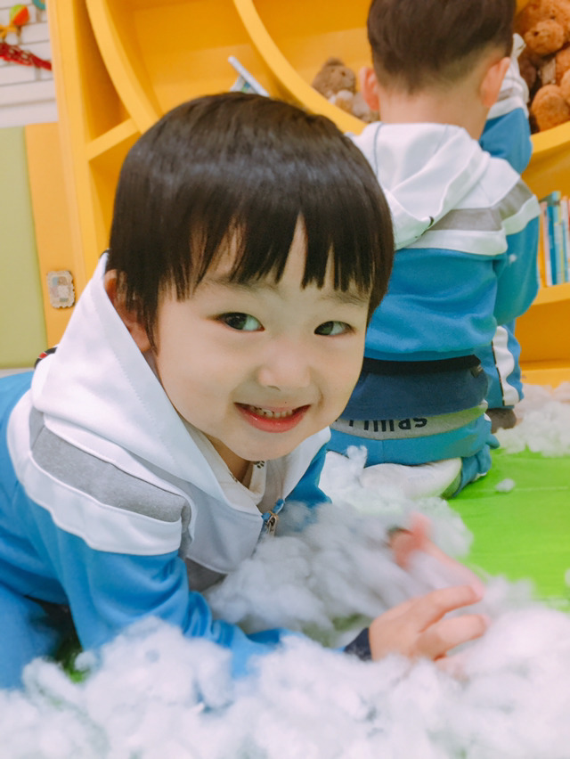 꽃이피었습니다 이미지