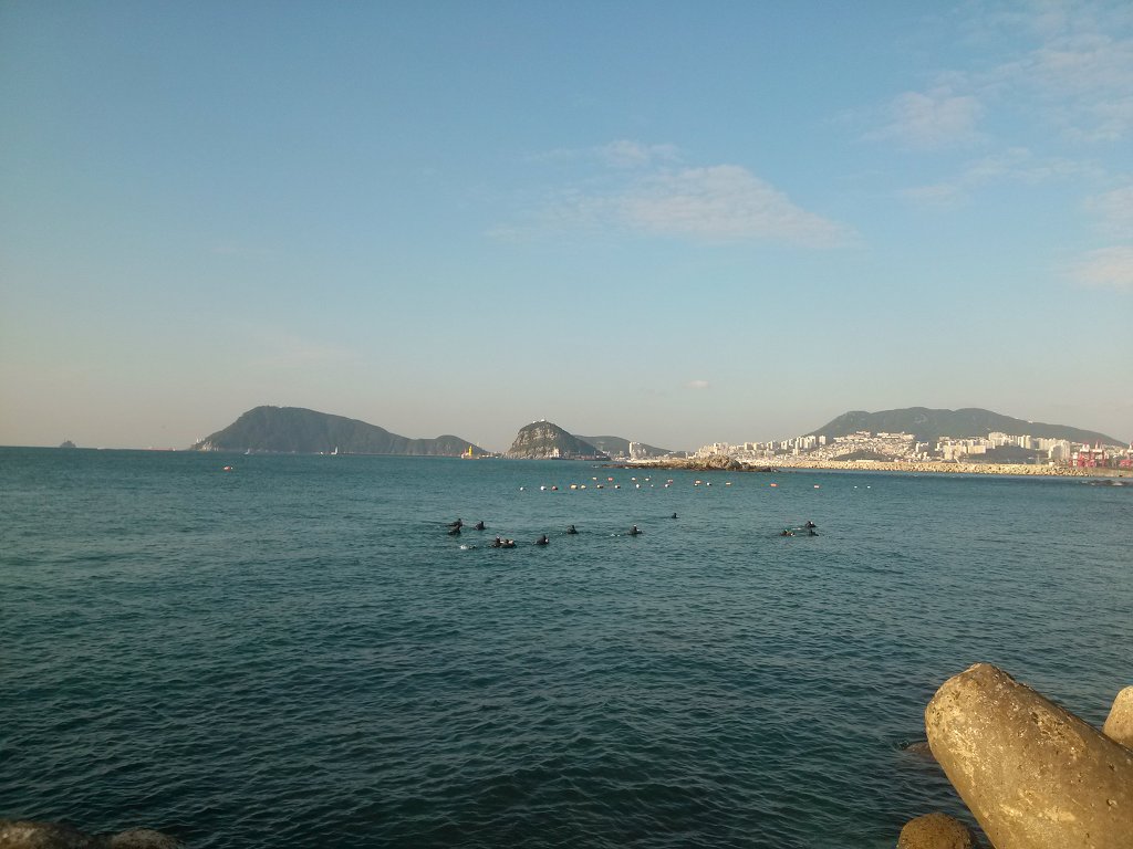 굴섬 이미지