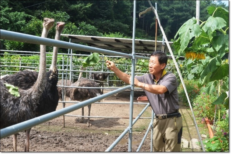 우리조류농장 이미지