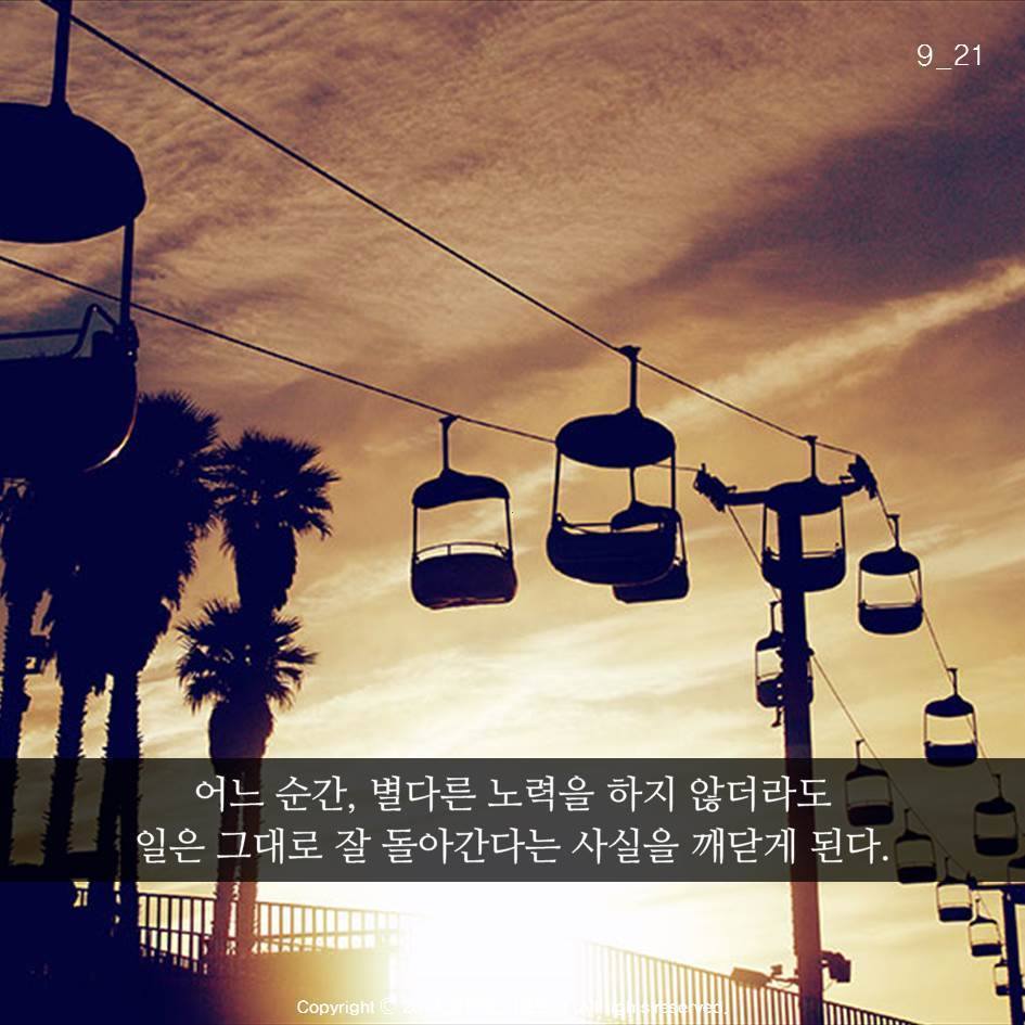 늑대의 죽음 | 인스티즈