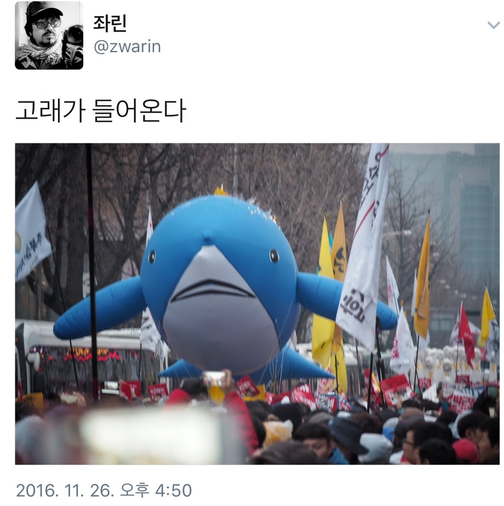오늘자 광화문 집회 현장에 나타난 고래 | 인스티즈