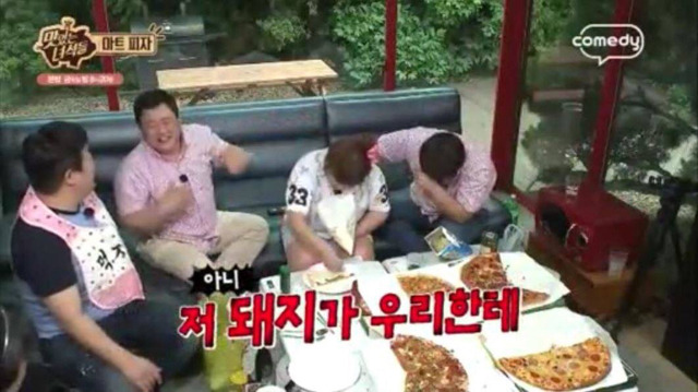 돼지새끼 이미지