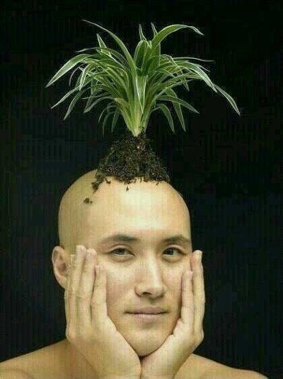 블리 이미지