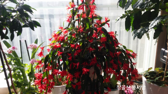 세상문화 이미지
