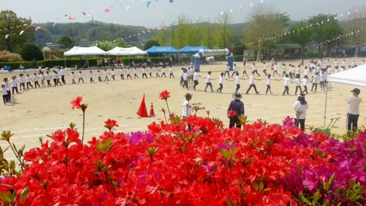 월문초등학교 이미지