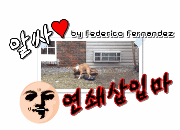 "내 딸은 트렌스젠더입니다"에 출연한 딸의 농구실력.gif | 인스티즈