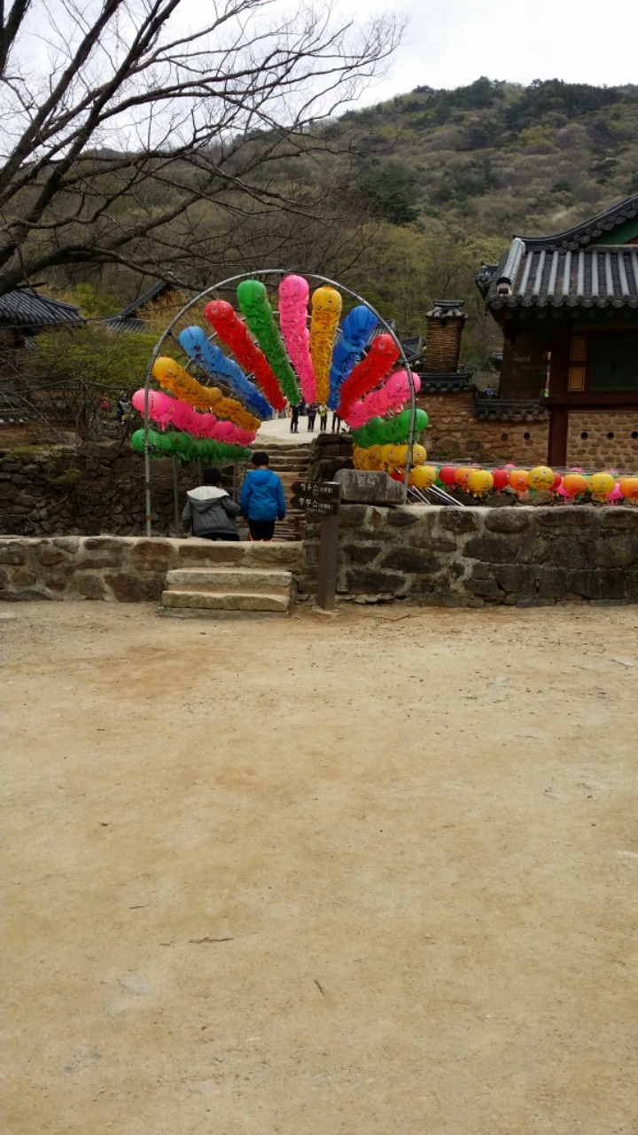 성광사 이미지