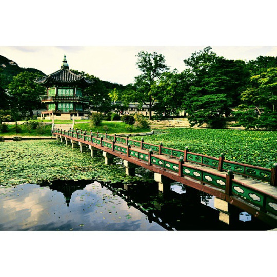  한국의 거리 모습 | 인스티즈