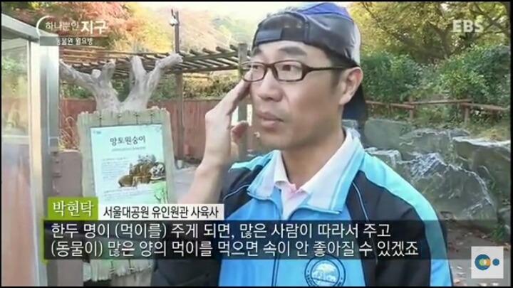 동물원 동물들이 월요병 생기는 이유 | 인스티즈