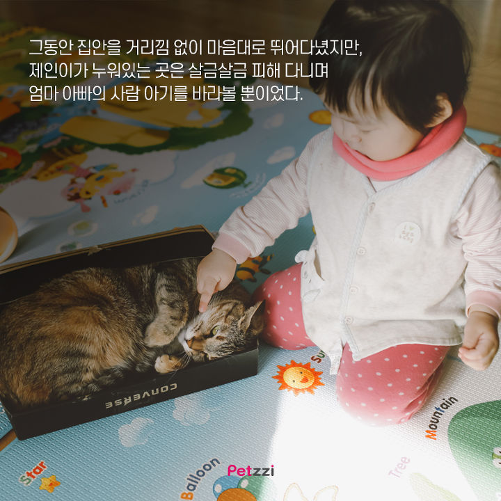 아기와 고양이의 교감 | 인스티즈