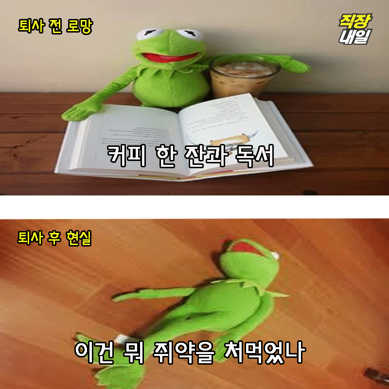 직장인 개구리가 퇴사를 해보았다(팩트폭행 주의) | 인스티즈