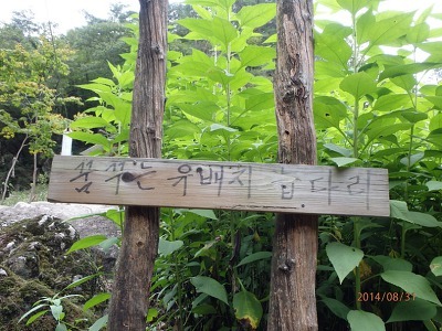 꿈꾸는유배지늡다리 이미지