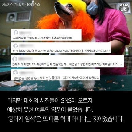 강아지가 도화지야???? | 인스티즈