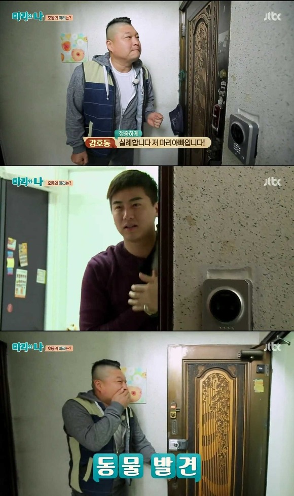 [마리와나] 케미가 냥냥 터지는 강호동과 새끼 고양이 토토.jpg | 인스티즈