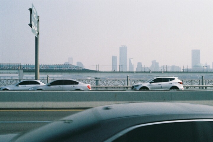 직접 찍은 필름카메라 사진 | 인스티즈