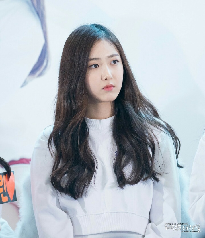 신비코 이미지
