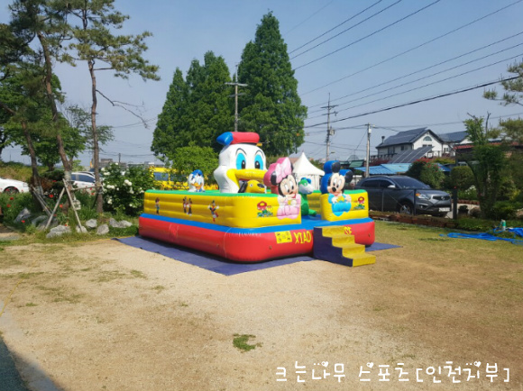 동산스포츠 이미지