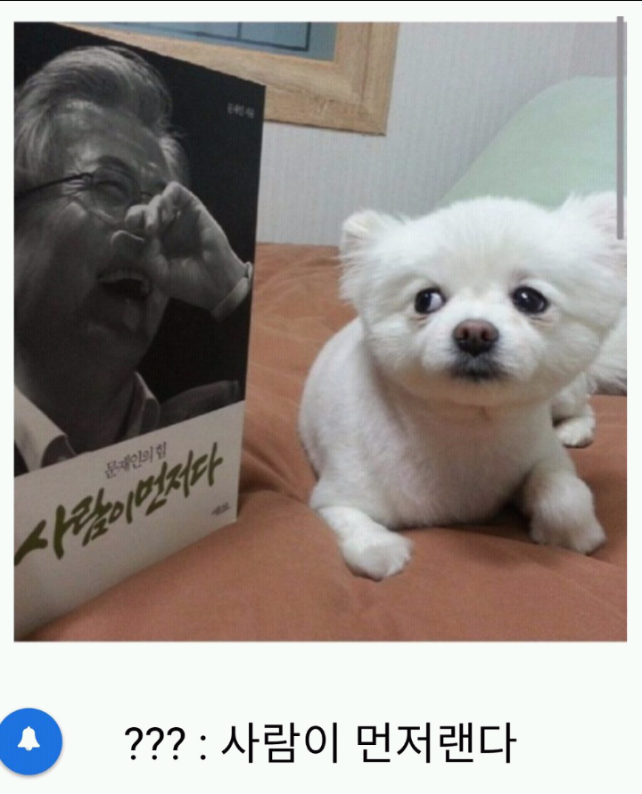 문재인 뽑지마라??? | 인스티즈