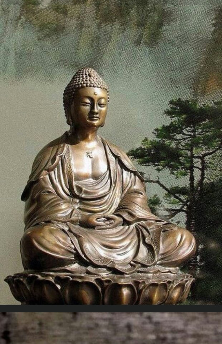 중관 이미지