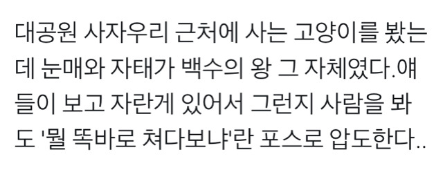 대공원에 사자우리 근처에 사는.jpg | 인스티즈