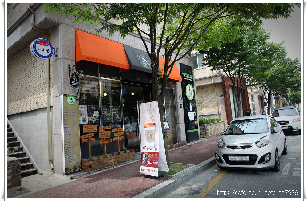 더치콩 이미지