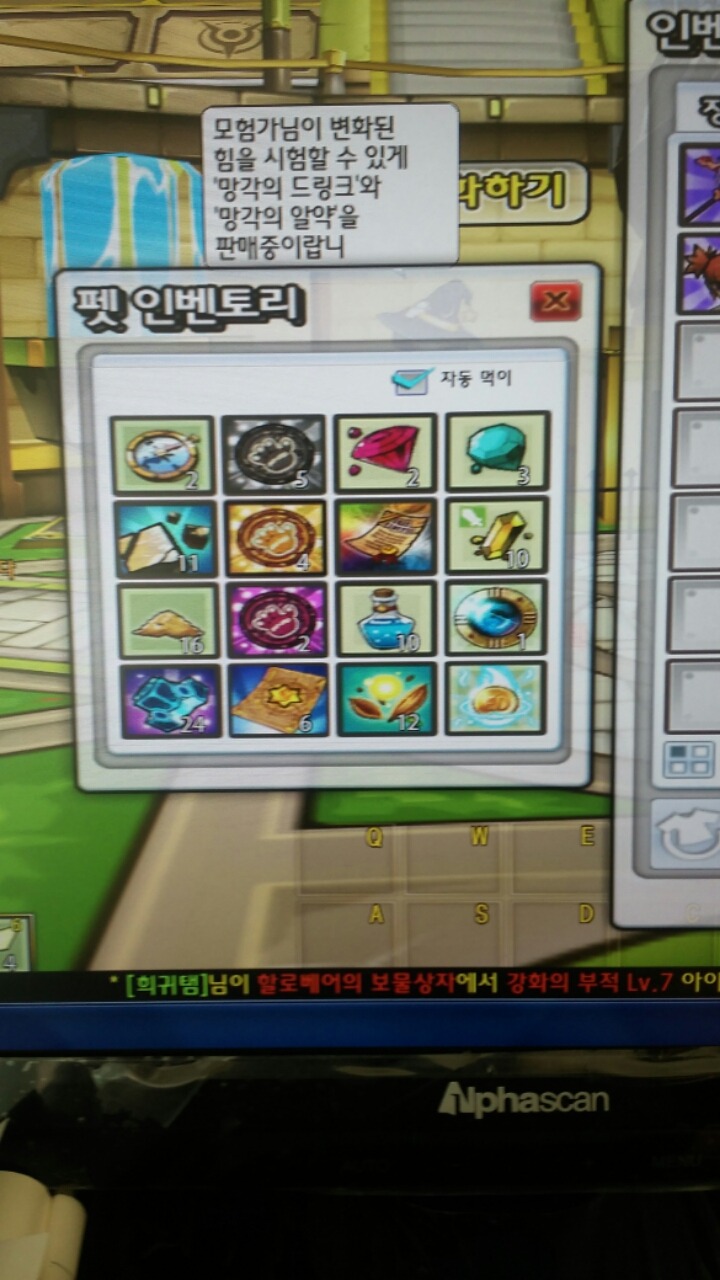 다있움 이미지