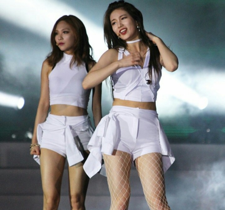 망사 스타킹 수지 | 인스티즈