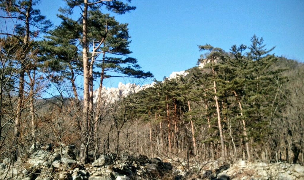 신흥사 이미지