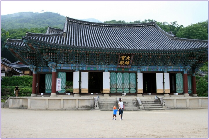 한적하고 마음이 편안해지는 절 풍경 | 인스티즈