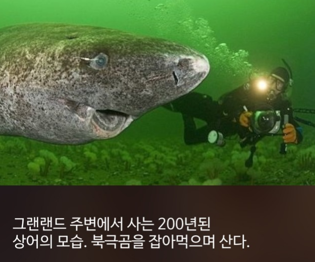 우리가 몰랐단 16가지 | 인스티즈