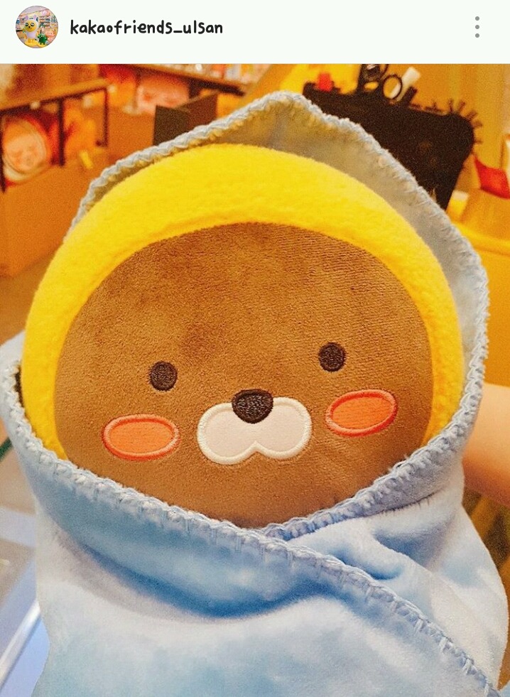 제이지 이미지