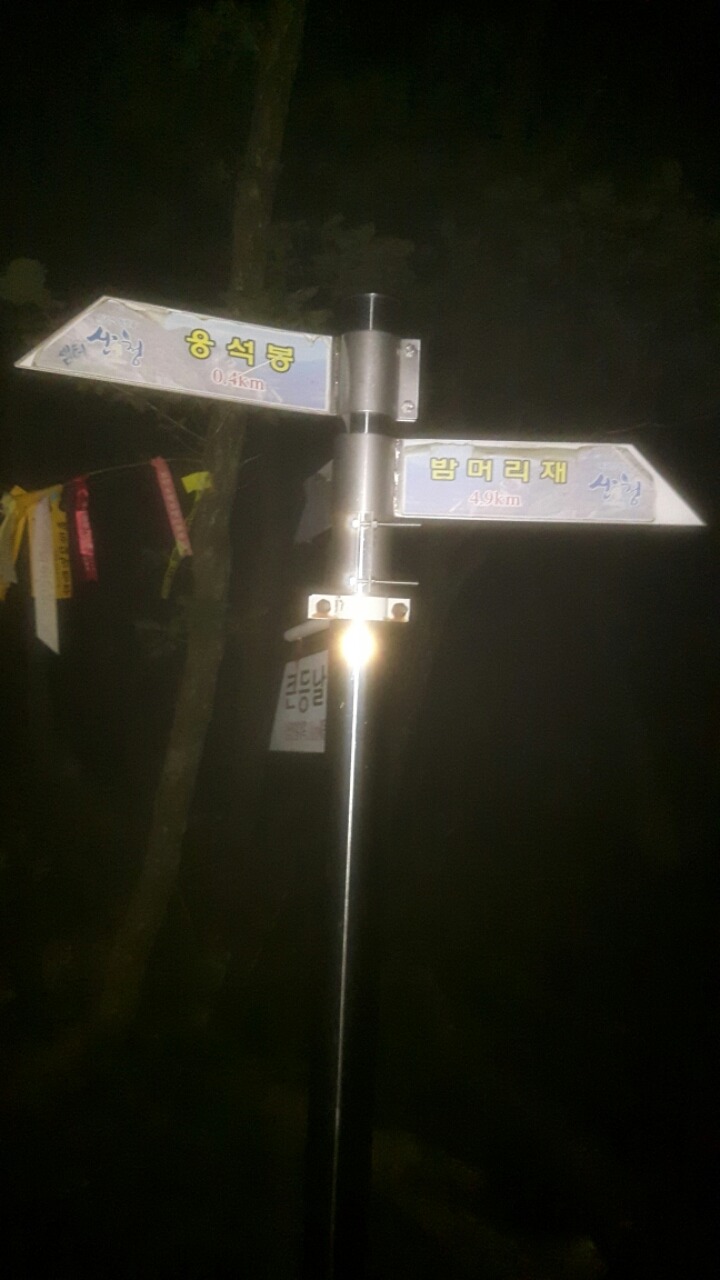 사막의오아시스 이미지