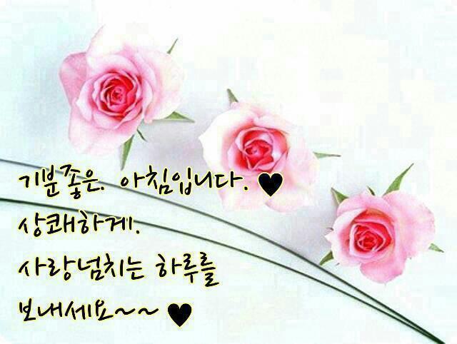 고운햇살 이미지