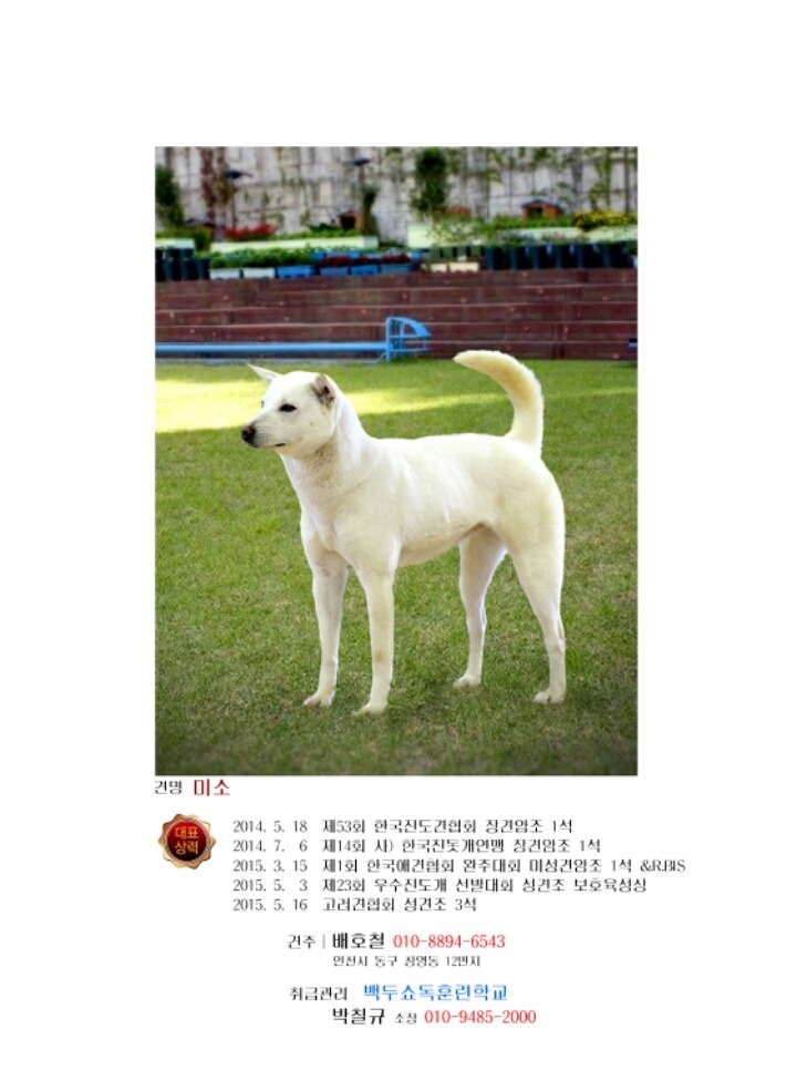 미소 이미지