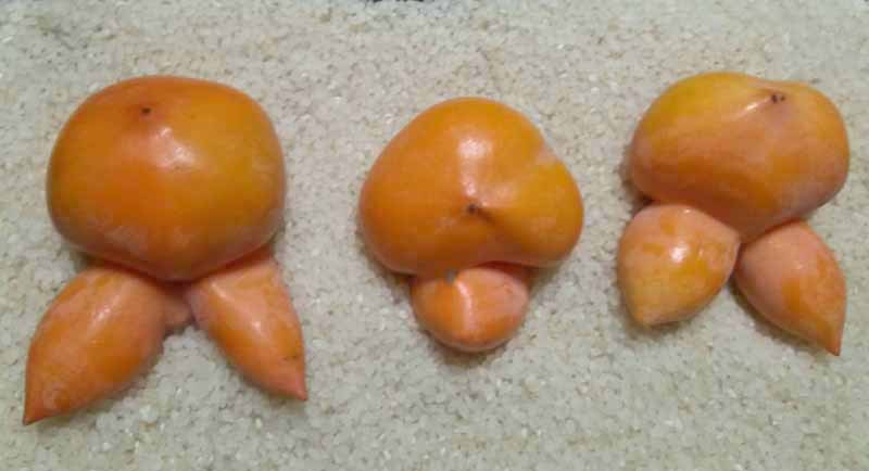 나랑엄마랑아빠랑 이미지