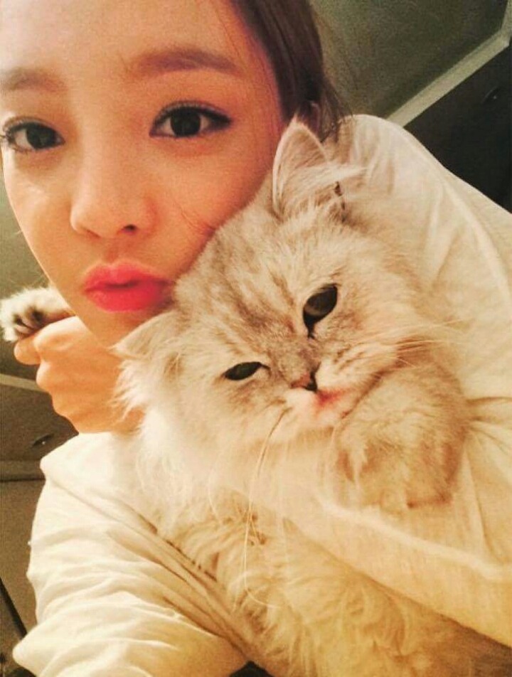 고양이상 구하라 | 인스티즈