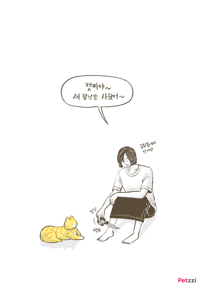 이해할 수 없는 고양이들의 취향.jpg | 인스티즈