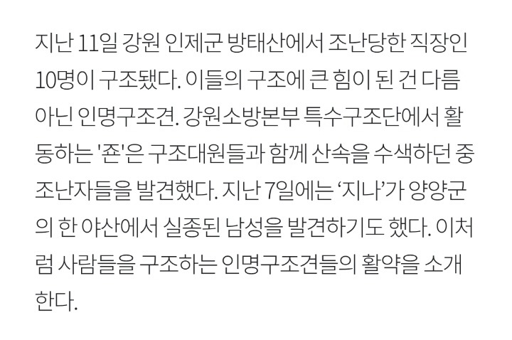사람들 구조하는 인명구조견 삼총사 | 인스티즈