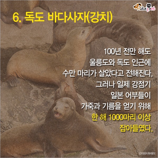  일제강점기 한반도에 사라진 동물들 | 인스티즈