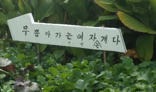 뽀바뽀바 이미지