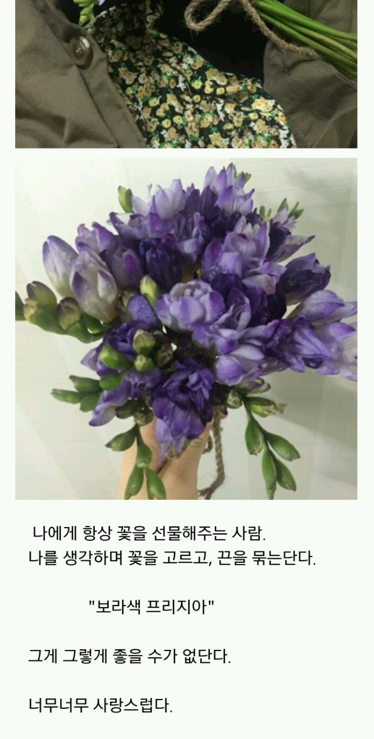 트와이스 채영 같은 꽃 선물 다른 느낌 | 인스티즈