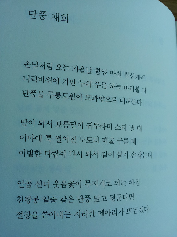 살구나무집 이미지