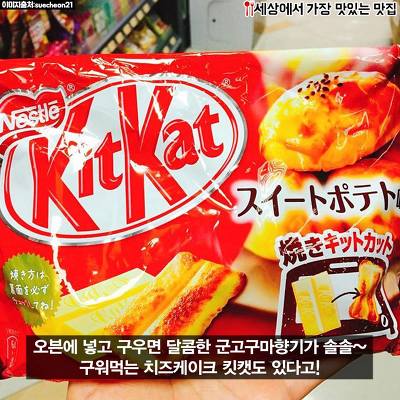 돼지력 테스트 | 인스티즈
