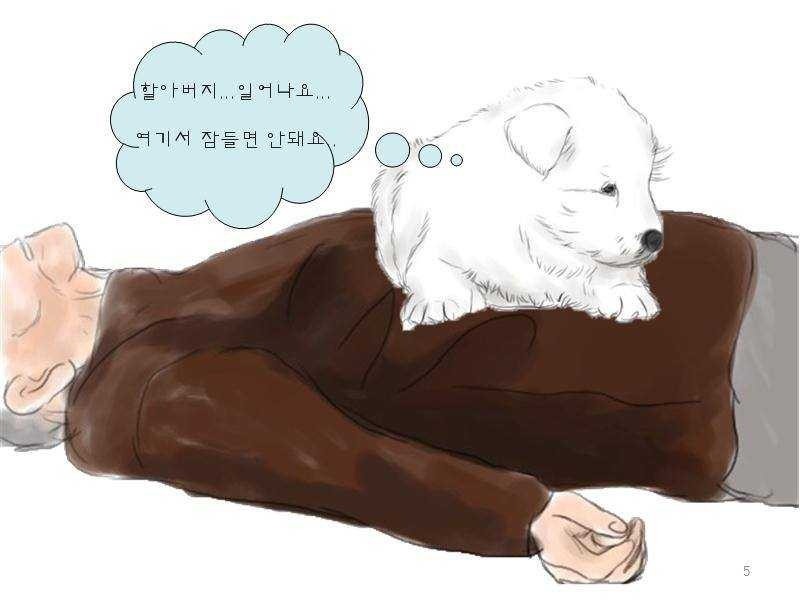 치매 할아버지를 구한 아기 풍산개 | 인스티즈