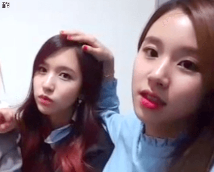 [트와이스] 미나 머리 쓰다듬는 걸크러쉬 채영이 ㅋㅋㅋ | 인스티즈