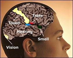 어느날... 당신에게 3가지 초능력이 주어진다면!? | 인스티즈