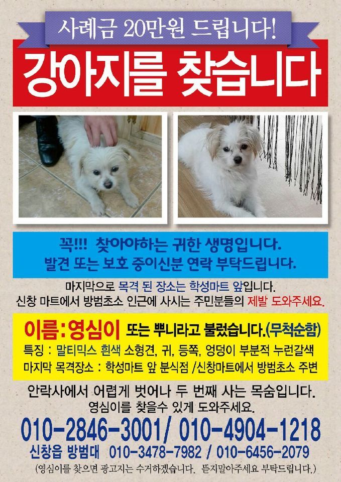 영심이 이미지