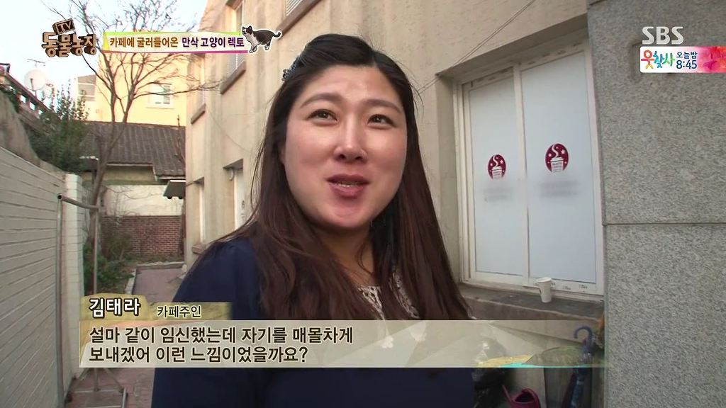 동물농장 [카페에굴러들어온고양이렉토] | 인스티즈
