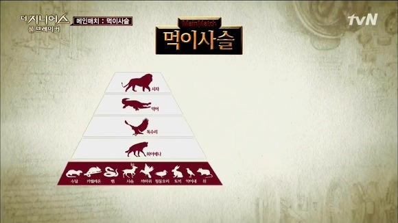 더 지니어스는 1화가 진리!! + 각 시즌 평가 | 인스티즈