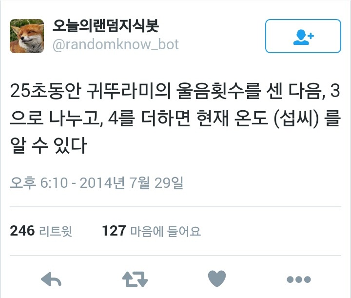 귀뚜라미에 대한 희한한 사실 | 인스티즈